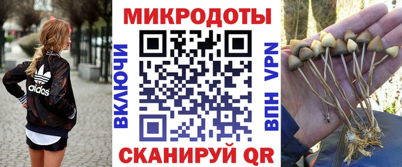 Псилоцибиновые грибы Psilocybine cubensis Вуктыл